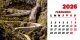 Calendar de birou 2026, Drumuri, Darcom