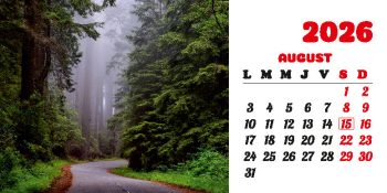 Calendar de birou 2026, Drumuri, Darcom