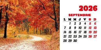 Calendar de birou 2026, Drumuri, Darcom