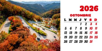 Calendar de birou 2026, Drumuri, Darcom