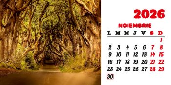 Calendar de birou 2026, Drumuri, Darcom