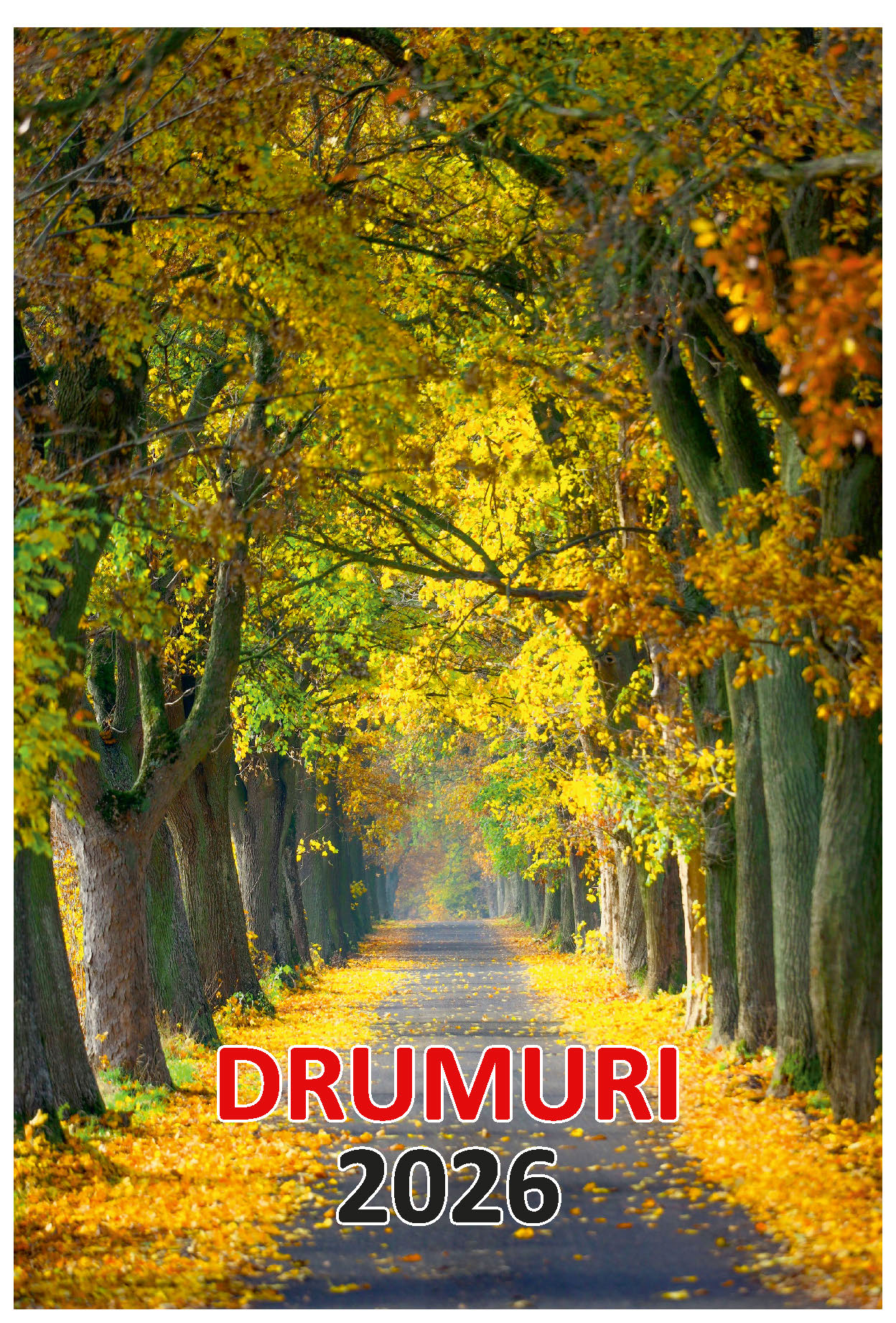 Calendar de perete 2026, Drumuri, Darcom
