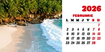 Calendar de birou 2026, Plaje, Darcom