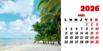 Calendar de birou 2026, Plaje, Darcom
