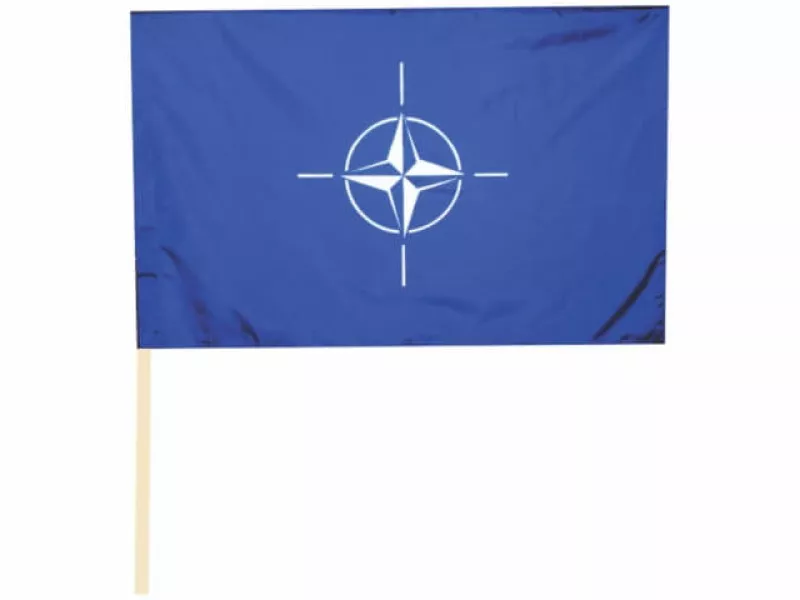 Steag NATO, material textil poliester, 45 x 30 cm, băț plastic, Arhi Design