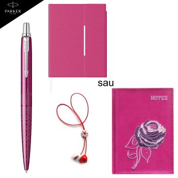 Set pix Jotter SE Tokyo + Agenda A5 sau Notes B6 asortat + Mărțisor, Parker