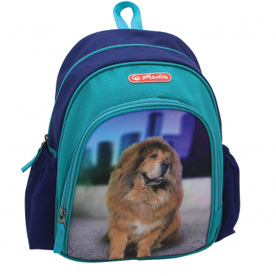 Rucsac cool Boss Phantom, Herlitz